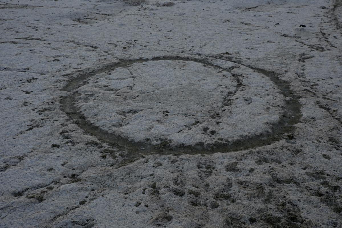 The Swamp - Photographic series by Alexis Vasilikos