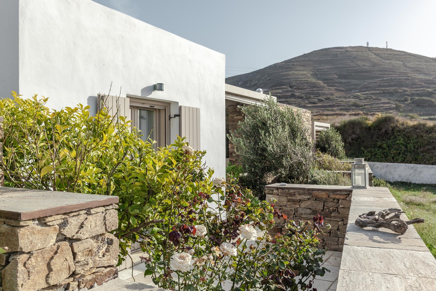 White Tinos | Luxury Suites