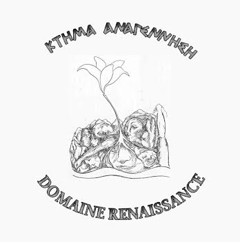   Ktima Anagennisi (Domain Renaissance).